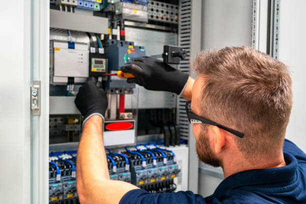 Best Electric Panel Repair  in Jackson, MO